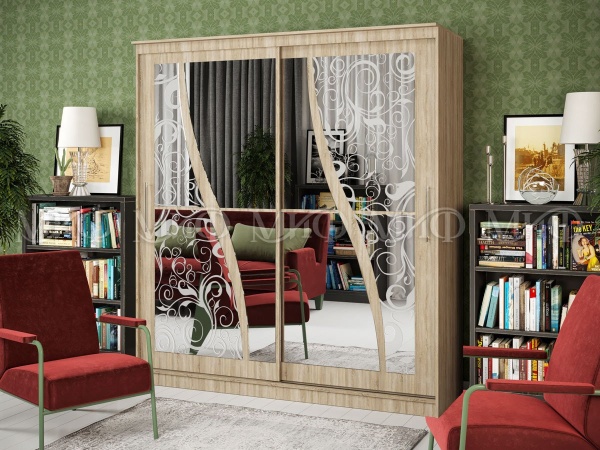 Шкаф-Купе Элвис-2 с Пескоструйным Рисунком (Ш-1500/1700/2000 × В-2200 х Г-650 мм)/Разные Цвета 